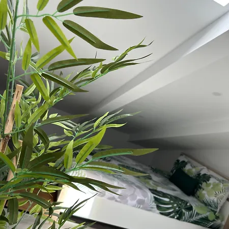 Loft Waves *